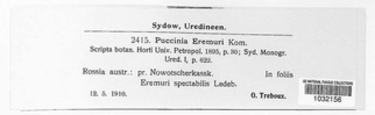 Puccinia eremuri image